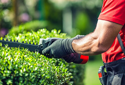 Demo Hizmet Başlığı - 1